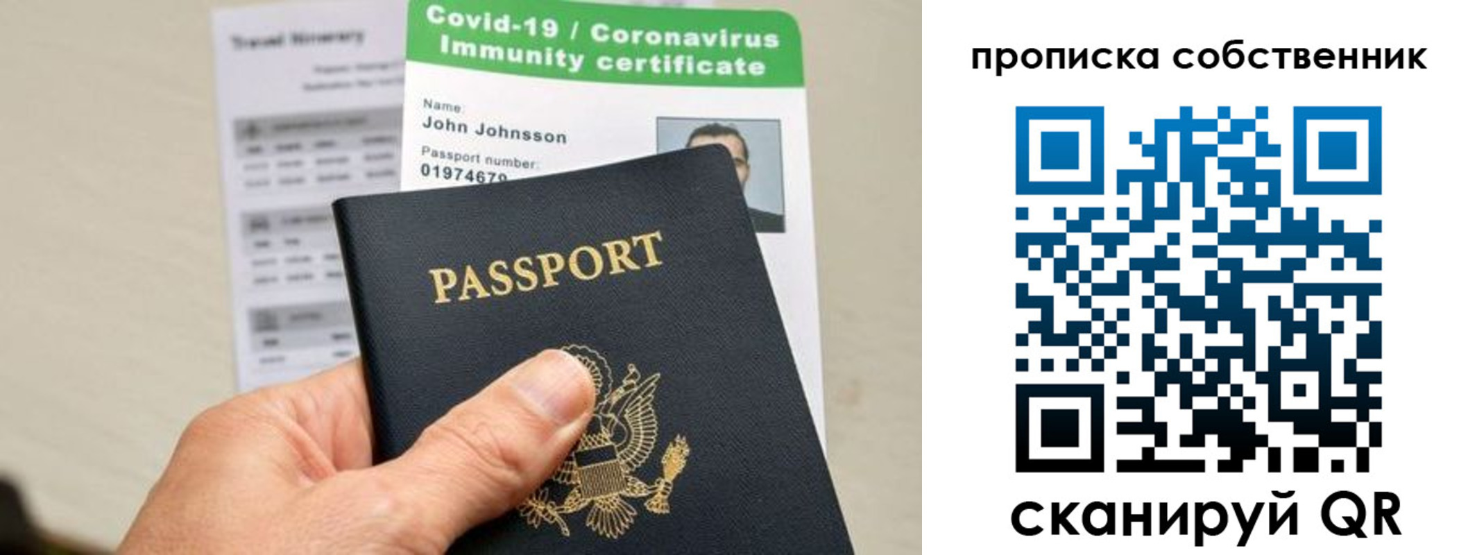 прописка поиск в Елизово