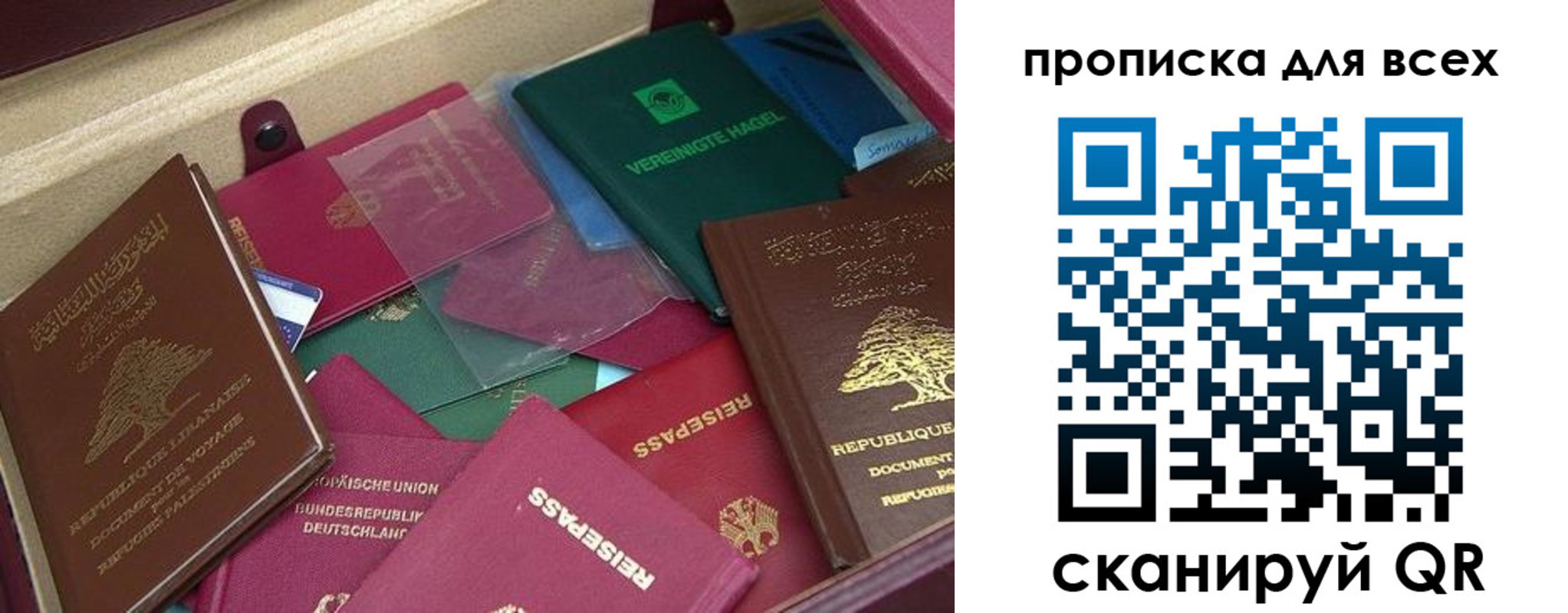 прописка гарантия в Елизово